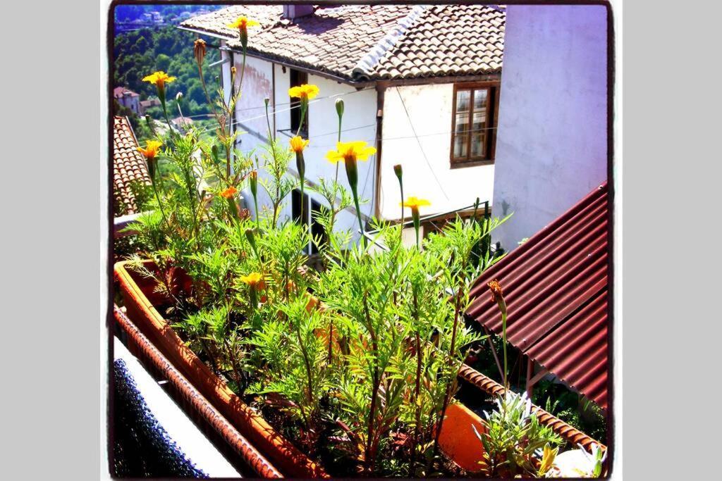 Authentic Guest Stay In The Heart Of Veliko Tarnovo Студио С Изглед Към Царевец Εξωτερικό φωτογραφία